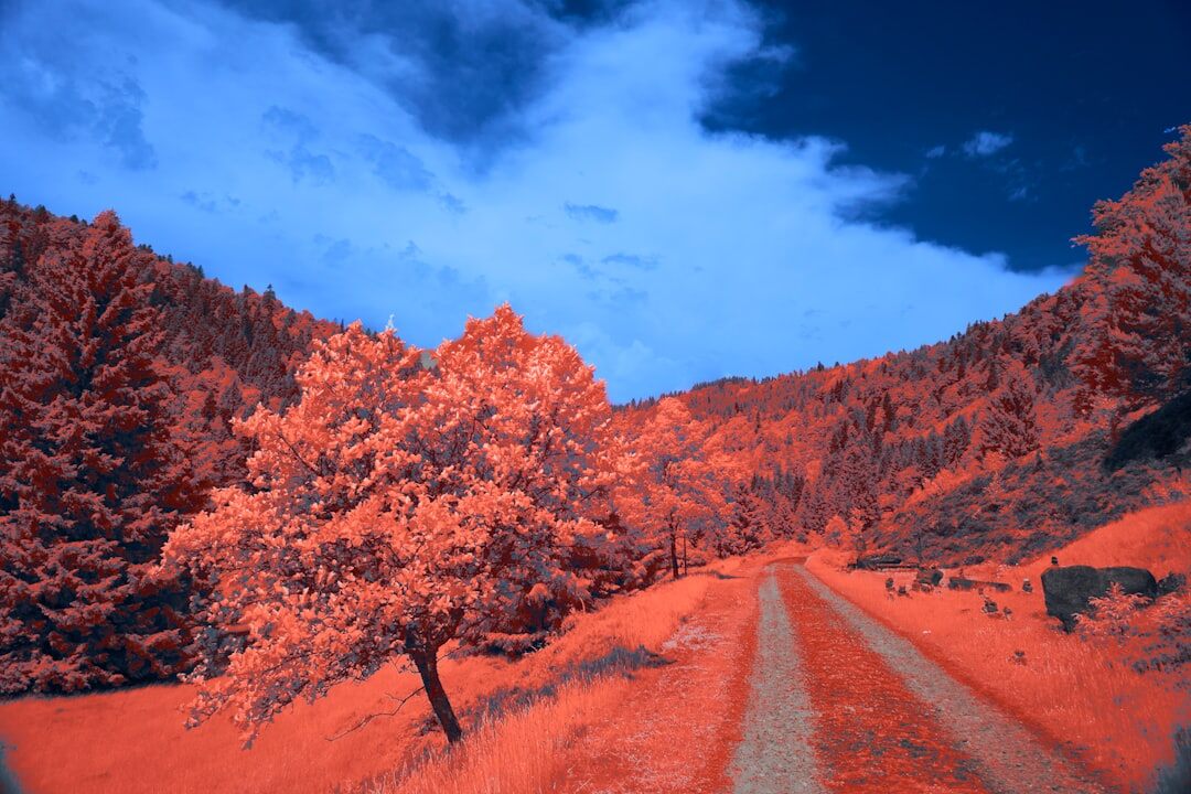 cinematic film scene with vibrant colors